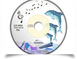 Real Magnase Dolphin CD design