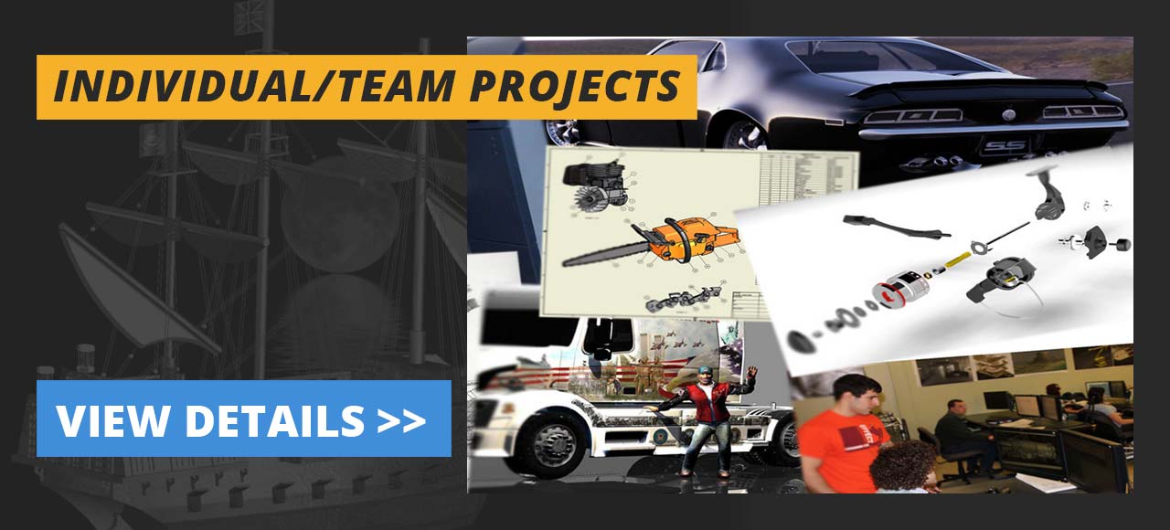 Individual/Team Projects